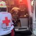 Le explota llanta en la cara a vulcanizador