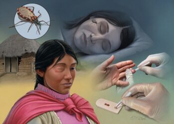 Mal de Chagas, ¿qué es y cómo se transmite?