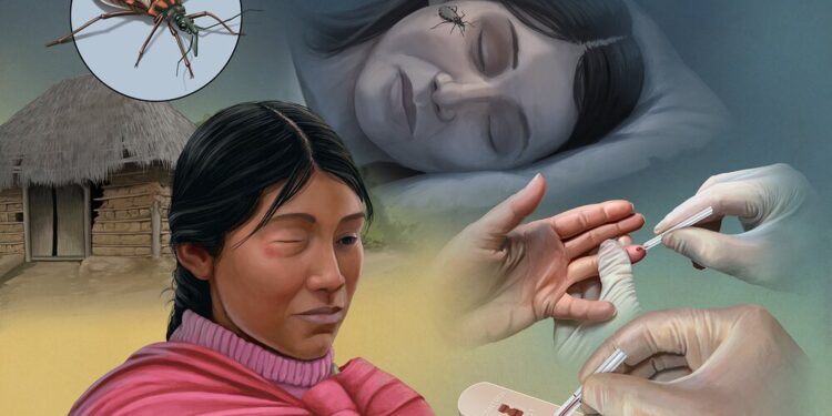 Mal de Chagas, ¿qué es y cómo se transmite?