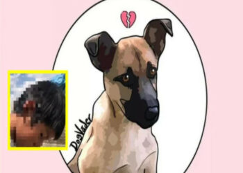 Lo extraño mucho: Niño habla sobre su perrito “Scooby” que murió en aceite hirviendo