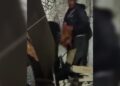 VIDEO: Captan a hombre en situación de calle comiéndose a un perro en Guanajuato
