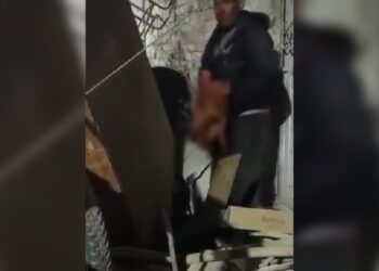 VIDEO: Captan a hombre en situación de calle comiéndose a un perro en Guanajuato