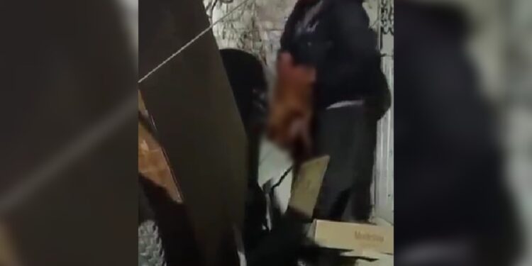 VIDEO: Captan a hombre en situación de calle comiéndose a un perro en Guanajuato