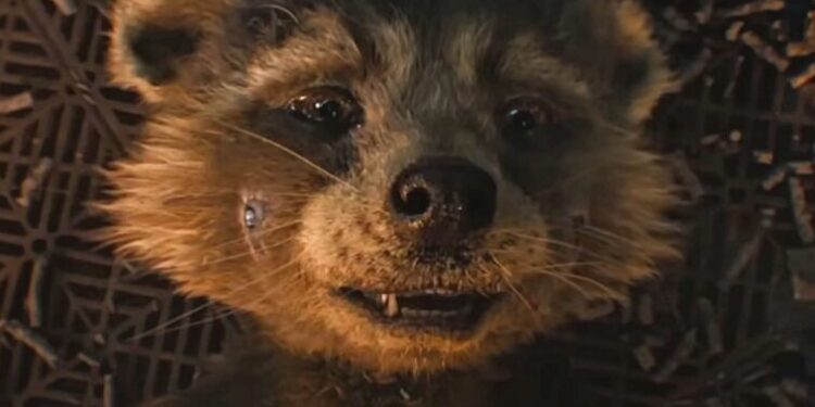 ¡Aplausos! PETA agradece la visibilidad que James Gunn da al maltrato animal en Guardianes de la Galaxia Vol. 3