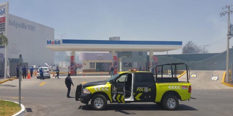 VIDEO: Registran incendio en inmediaciones de Plaza El Dorado