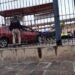 Auto se lleva un portón en la zona de transferencia de camiones