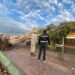 20 casas inundadas y 13 árboles caídos, entre las afectaciones de las lluvias del domingo