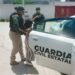 Brindan auxilio a una menor que se encontraba en calidad de abandono