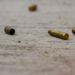 Acribillan a dos hermanos en retén criminal en Rioverde, uno muere
