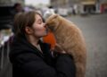¿”CURP” para mascotas? Te decimos para qué sirve y cómo obtenerlo