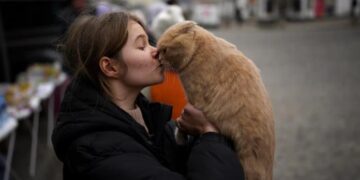 ¿”CURP” para mascotas? Te decimos para qué sirve y cómo obtenerlo