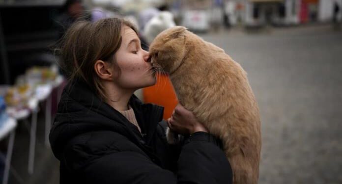 ¿”CURP” para mascotas? Te decimos para qué sirve y cómo obtenerlo