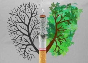 Con canje de cigarros por árboles, buscan incentivar la reforestación en San Luis Potosí