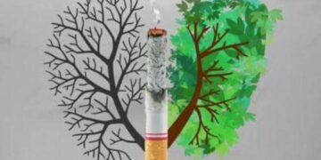 Con canje de cigarros por árboles, buscan incentivar la reforestación en San Luis Potosí