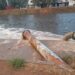 Inundaciones en la zona oriente, por mal estado del sistema pluvial: Alcaldía