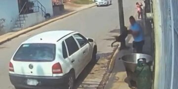 VIDEO: Buscan a sujeto que arrojó a perro a cazo de aceite hirviendo, las imágenes son desgarradoras