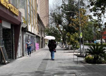 Tras asesinato de Sua Jocsan, empresarios potosinos claman por seguridad en avenida Carranza