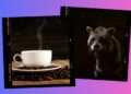 ¿Lo probarías? Así se prepara el café que proviene del excremento de un animal