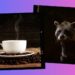 ¿Lo probarías? Así se prepara el café que proviene del excremento de un animal