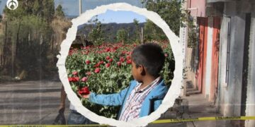 Narco se ensaña con los niños: Criminales mataron a 1 cada 20 horas en los primeros 2 años de la 4T