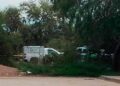 Hallan a niño muerto por ataque de perros