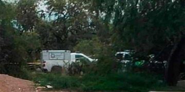 Hallan a niño muerto por ataque de perros