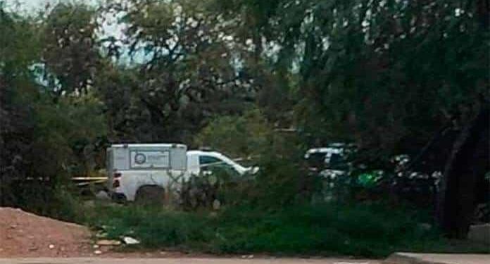 Hallan a niño muerto por ataque de perros