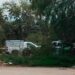 Hallan a niño muerto por ataque de perros