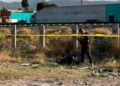 Encuentran cadáver descuartizado en un baldío de la Avenida Observatorio