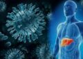 Los Servicio de Salud rechazan epidemia o riesgos por hepatitis