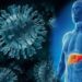 Los Servicio de Salud rechazan epidemia o riesgos por hepatitis