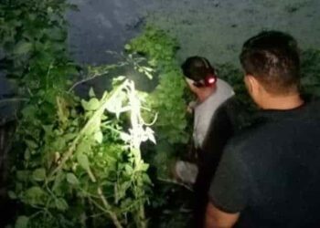 Jornalero muere ahogado al atorarse con vegetación de río en Ciudad Valles