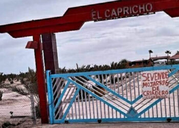 Comando armado irrumpe en fiesta para “levantar” a 21 personas en Sonora, entre ellas niños