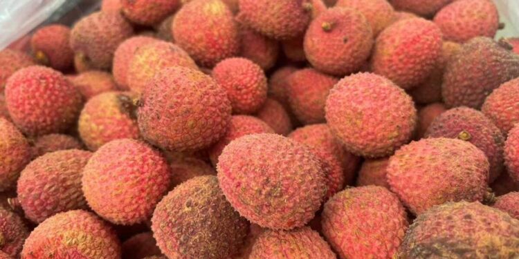 Litchi, el “oro rosa” que se cultiva en la Huasteca potosina