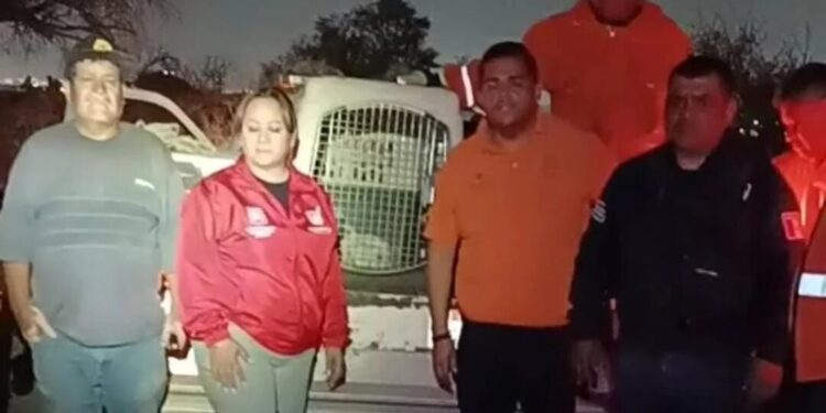 Rescatan a lomito que cayó a un pozo de 12 metros de profundidad