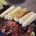 ¡Gana dinero comiendo elotes! Villa de Juárez invita a su Festival del Elote 2023