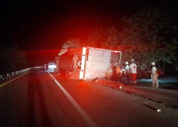Vuelca tráiler que transportaba vacas en la carretera Valles-Tampico