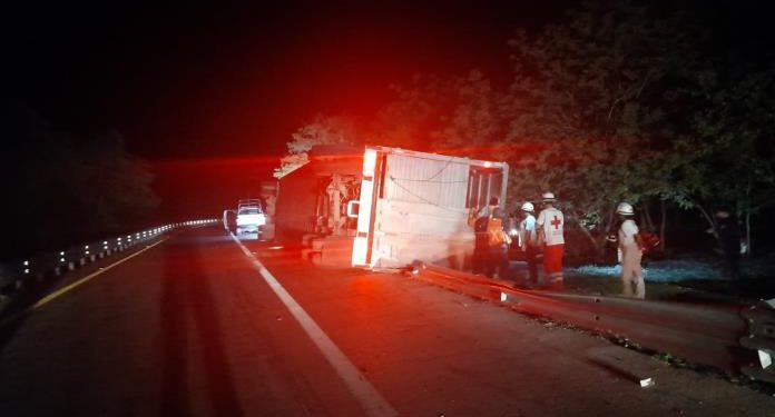 Vuelca tráiler que transportaba vacas en la carretera Valles-Tampico