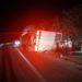 Vuelca tráiler que transportaba vacas en la carretera Valles-Tampico