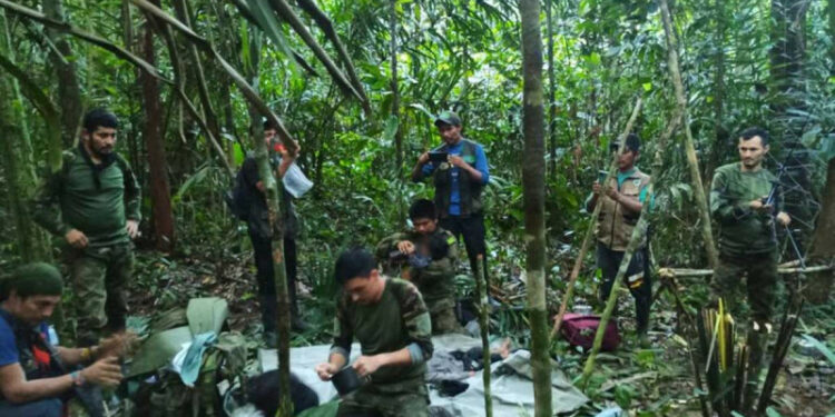 Encuentran vivos a cuatros niños perdidos desde hace 40 días en Amazonia colombiana
