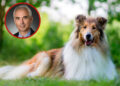 Acusan a reconocido profesor universitario de abusar sexualmente a su perro