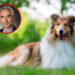 Acusan a reconocido profesor universitario de abusar sexualmente a su perro