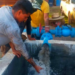 En plena ola de calor un tercio de la capital de SLP se quedará sin agua por bajos niveles en presa El Realito
