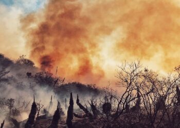 Registran incremento de incendios debido a las altas temperaturas