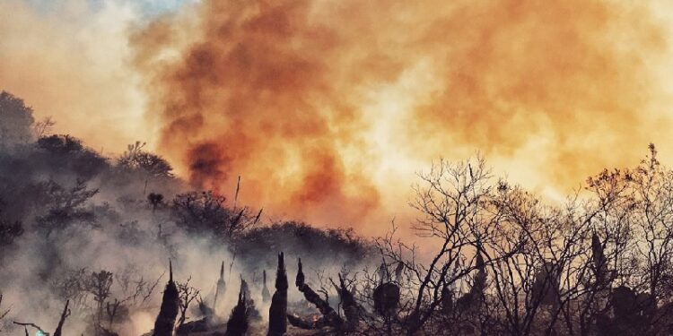 Registran incremento de incendios debido a las altas temperaturas