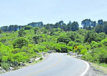 Advierte investigadora que “La Sierra de Álvarez está siendo devastada, deforestada y urbanizada de manera brutal”