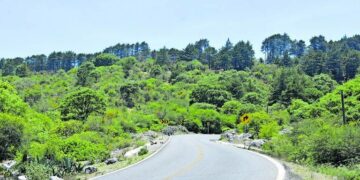Advierte investigadora que “La Sierra de Álvarez está siendo devastada, deforestada y urbanizada de manera brutal”