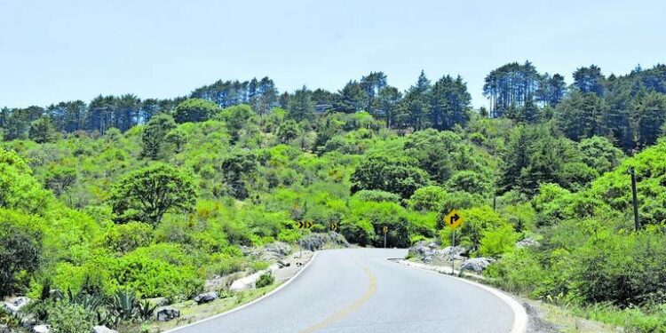 Advierte investigadora que “La Sierra de Álvarez está siendo devastada, deforestada y urbanizada de manera brutal”