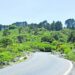 Advierte investigadora que “La Sierra de Álvarez está siendo devastada, deforestada y urbanizada de manera brutal”