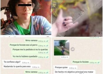 Justicia para Huellitas: Ya hay denuncia formal contra joven que torturó y degolló a perrito